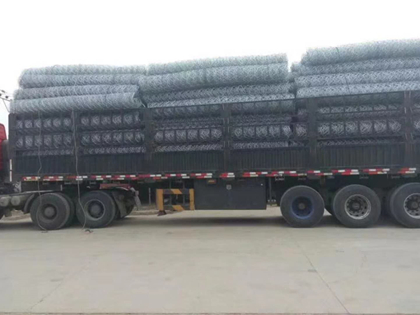 荷蘭網(wǎng)發(fā)貨