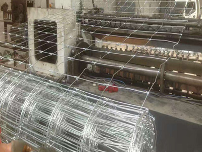 鹿網圍欄