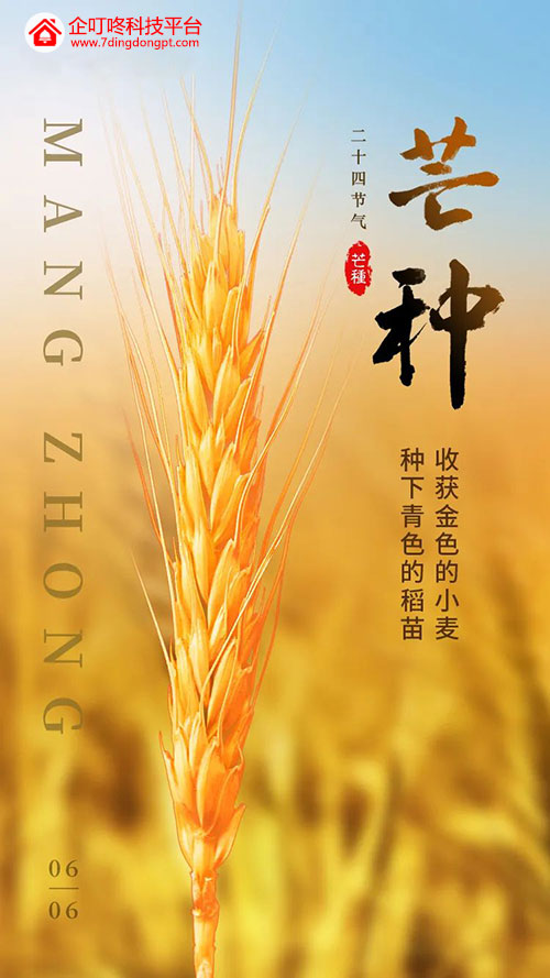 芒種.jpg